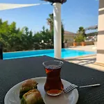Melli-ilay *